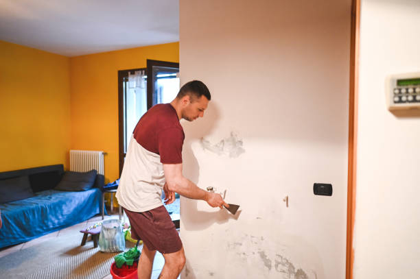 Best Home Mold Removal  in Moline, IL